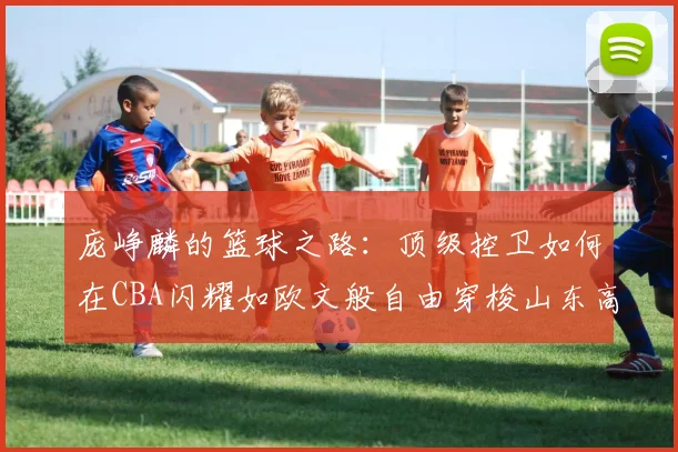 庞峥麟的篮球之路：顶级控卫如何在CBA闪耀如欧文般自由穿梭山东高速